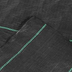 Siena Garden B76057 Unterbodengewebe Schwarz 10 m²