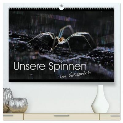 Unsere Spinnen - im Gespräch (hochwertiger Premium Wandkalender 2026 DIN A2 quer), Kunstdruck in Hochglanz