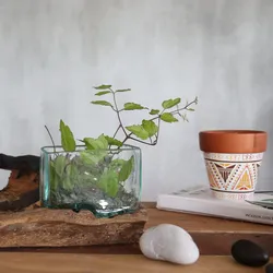 1x Molten Glass Tank on Wood with Stand - Large Bowl