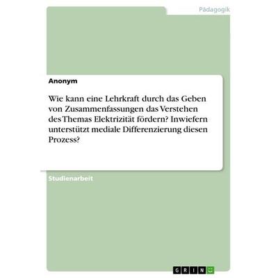 Wie kann eine Lehrkraft durch das Geben von Zusammenfassungen das Verstehen des Themas Elektrizität fördern? Inwiefern unterstützt mediale