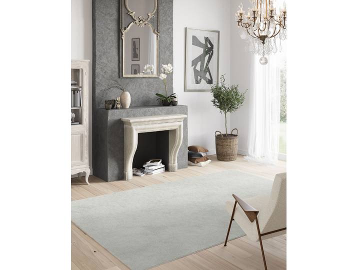Kurzflorteppich Elya Silber/Silbergrau 240 x 340cm Polypropylen