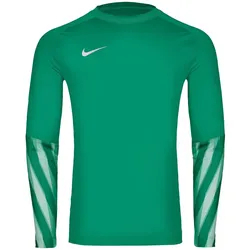 NIKE Park V Dri-FIT Torwarttrikot Herren 324 - stadium green/white M