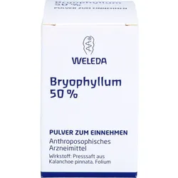 Bryophyllum 50% 20 G