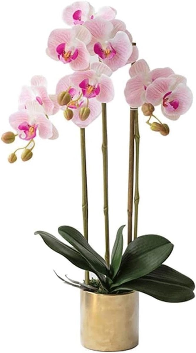 Realistische zijden kunstbloem Orchidee voor woonkamer decoratie, Hoogte: 60 cm