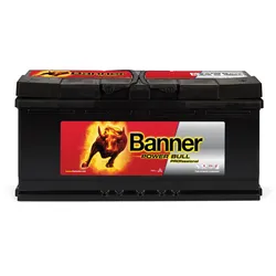 12V 100Ah 820A Banner Power Bull P10040 Starterbatterie