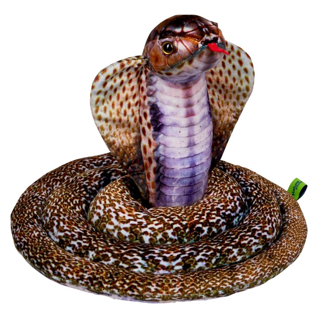 Coppenrath Kobra Nature Zoom Wild (25 cm) (44515460)