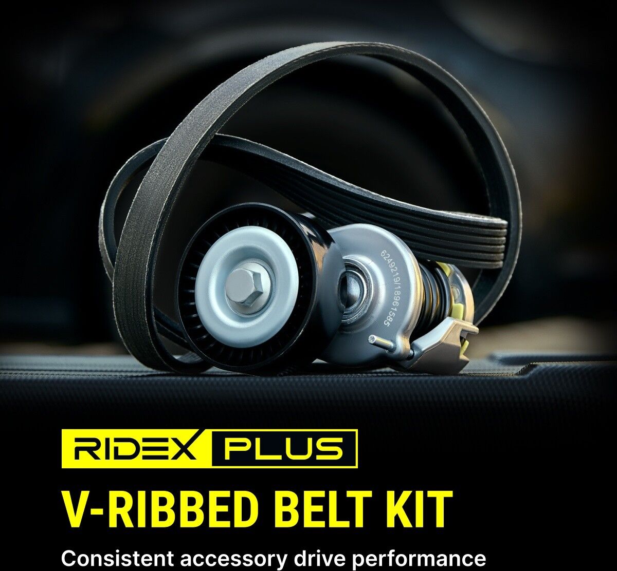 RIDEX PLUS 542R0416P Moniurahihnasarja