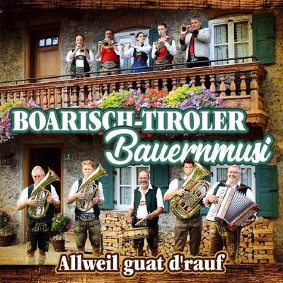 Allweil guat drauf - Boarisch-Tiroler Bauernmusi, CD, 9003549534488