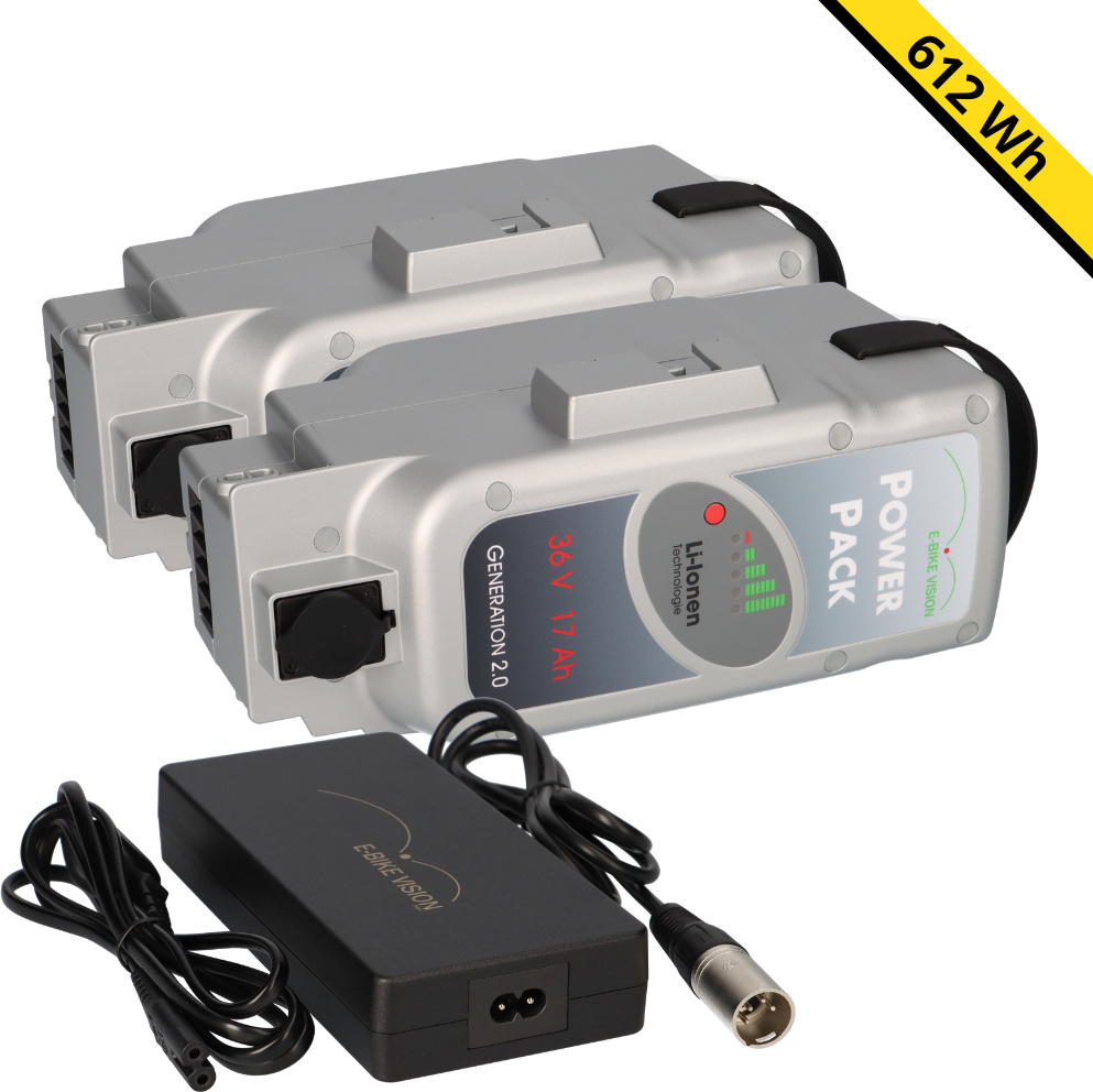 2x E-Bike Vision PowerPack Panasonic 36V 17Ah 612Wh + 4A Ladegerät