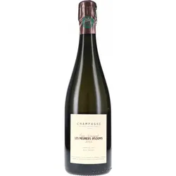 Jean Servagnat Les Meuniers Insoumis Premier Cru Brut Nature 2022