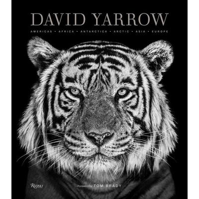 David Yarrow Photography, Gebundene Ausgabe von David Yarrow,Tom Brady, Rizzoli US, 978-0-8478-6477-5