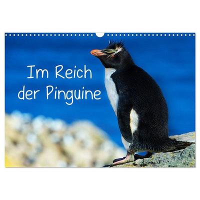 Im Reich der Pinguine (Wandkalender 2026 DIN A3 quer), CALVENDO Monatskalender