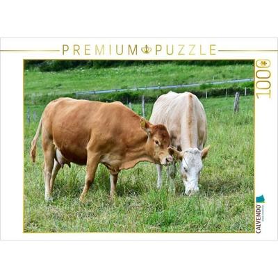 CALVENDO Puzzle Rinder sind klassische Herdentiere, die stets die Nähe ihrer Artgenossen suchen. | 1000 Teile Lege-Größe 64x48cm Foto-Puzzle für glück