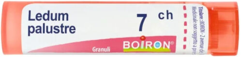 Ledum Palustre Boiron 7ch Globuli Monodose 1g
