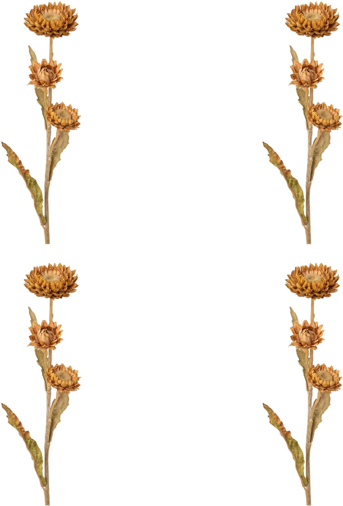 Kunstblume CREATIV GREEN "Strohblume", braun (cognac), H:61cm, Obermaterial: 95% Polyethylen, 5% Polyester, Kunstpflanzen, Kunstblume