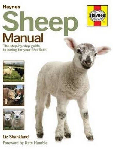 J H Haynes & Co Ltd Sheep Manual - The Complete Step-by-step Guide To Caring For Your Flock