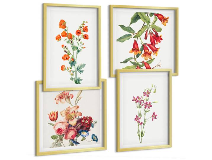 Tulup Bilder SET 4er Set - 50x50 cm & 40x60 cm Goldrahmen - Blumenmalerei im Retro-Stil, Goldfarben, Kunststoff, Rechteckig, 50x50 cm, gerahmt, Bilder & Rahmen, Bilder