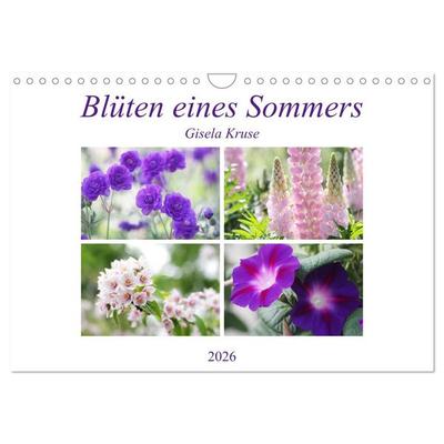 Blüten eines Sommers (Wandkalender 2026 DIN A4 quer), CALVENDO Monatskalender