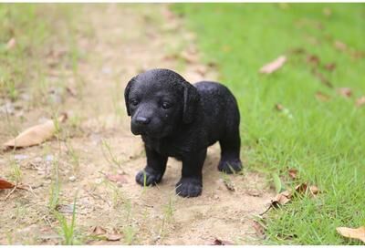 Hi-Line Gift Ltd. Black Standing Labrador Puppy Statue