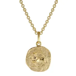 trendor 75905-01 Sternzeichen für Kinder Steinbock Gold 333 Anhänger + Kette