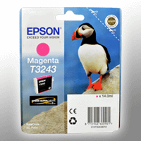 Epson Tinte C13T324340 magenta T3243
