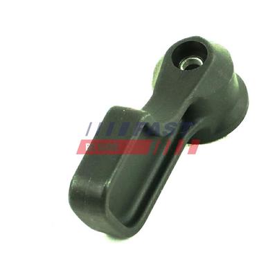 FAST Türgriff, Innenausstattung FT94581 Seitenwand für Iveco