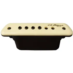 LR Baggs M1 (Instrumenten Tonabnehmer), Zubehör Instrumente