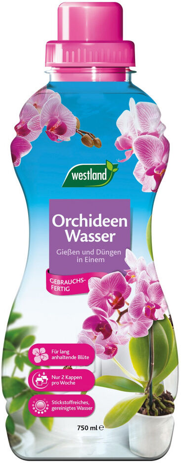 Westland Orchideen Wasser