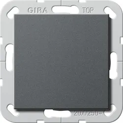 Gira Wippschalter Aus 20A 283628