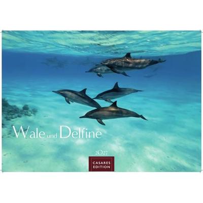 Wale und Delfine Kalender 2027 – Wandkalender | Fotokalender Tierkalender 24x35cm - Hochwertige Fotografien von Walen und Delfinen, die jeden Monat