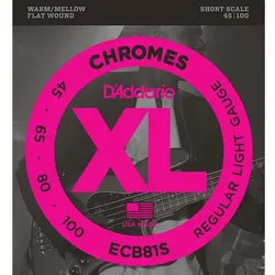 D'Addario ECB81S (E-Bass, 0.10"), Saiten