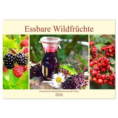 Essbare Wildfrüchte. Aromatische Köstlichkeiten aus der Natur (Wandkalender 2026 DIN A2 quer), CALVENDO Monatskalender