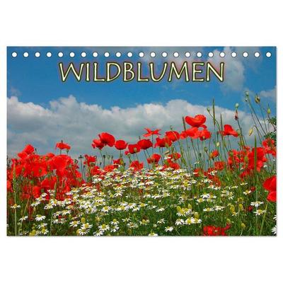 Wildblumen 2026 (Tischkalender 2026 DIN A5 quer), CALVENDO Monatskalender