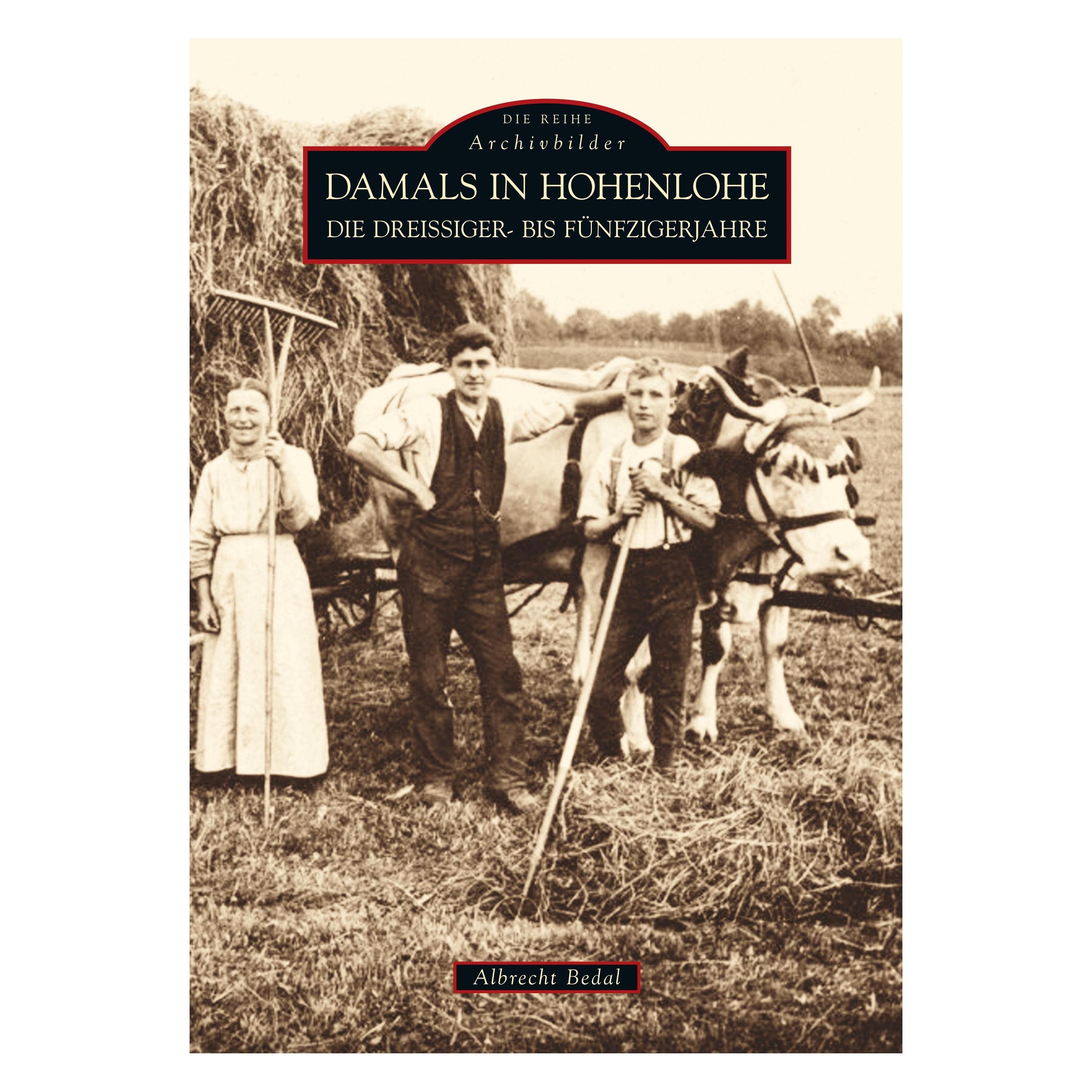 Sutton Damals in Hohenlohe (Deutsch, Softcover, Albrecht Bedal) (19958796)