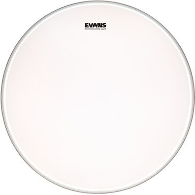"Evans 24"" UV2 Coated Bass "