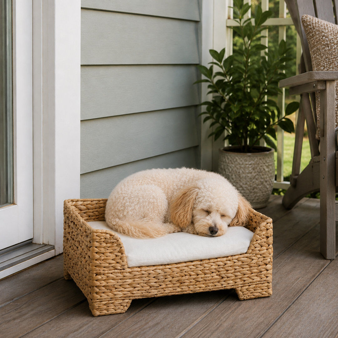 Staart Canvas 53cm Raised Pet Bed with Washable Cushion, Natural Seagrass Wicker Lounger, Indoor Daybed for Cats & Small Dogs Beige