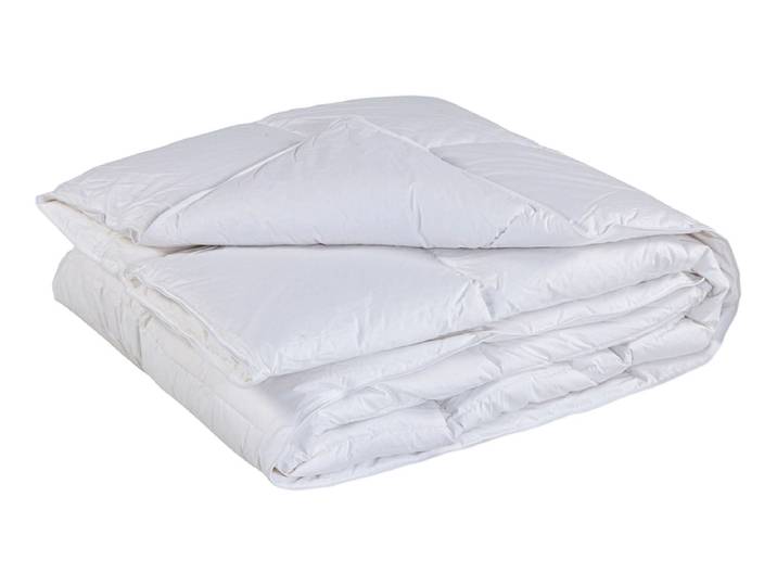 CELESTA Duvet WDD 90% HIVER 160x210cm heiss