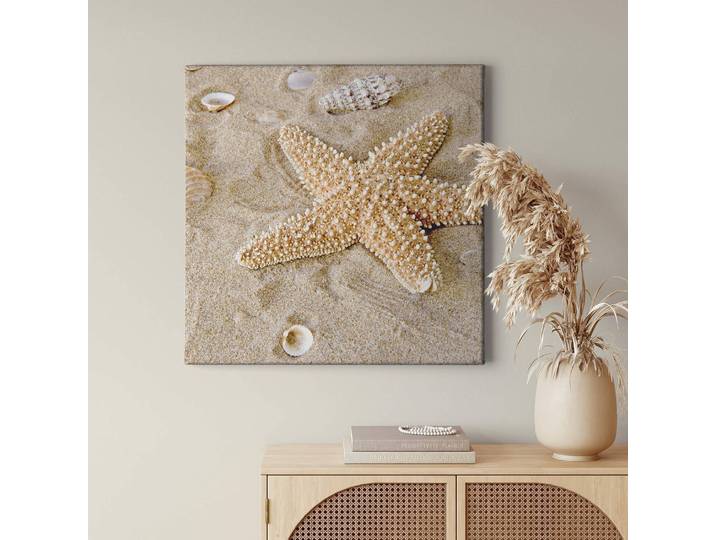 Impression sur toile Patrick Star Polyester PVC / Épicéa Beige 50 x 50cm