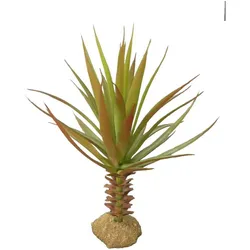 Reptiles-Planet Pacaya Bush, Terrariumeinrichtung