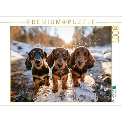 CALVENDO Puzzle Liebe kennt keine Leine | 1000 Teile Lege-Größe 64x48cm Foto-Puzzle für glückliche Stunden