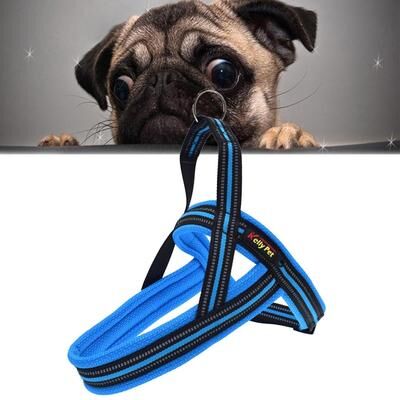 United Reflective Dog Harness With Leash For Safe Big Dog Walks blue m