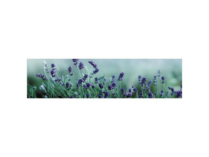 Fani Küchenrückwand Smart - Glas, Türkis, Flieder, Metall, Kunststoff, Lavendel, 210x53.7x0.6 cm, mit Dekor, Spritzschutz, individuell zuschneidbar, Echtglas-Optik, eventuelle Anpassungen vor Ort nötig, Küchen, Küchenausstattung, Küchenrückwände