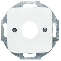 Busch-Jaeger Zentralscheibe aws 2533-214