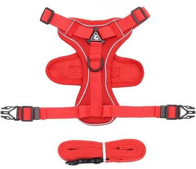Inspire Essentials AdventureFit Cat Harness And Leash Set red l