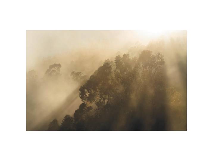 VLIESTAPETE SH067-VD4 mISTY MOUNTAIN