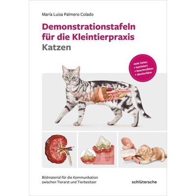 Demonstrationstafeln für die Kleintierpraxis Katzen, Gebundene Ausgabe von María Luisa Palmero Colado, Schlütersche Verlag, 978-3-8426-0063-8