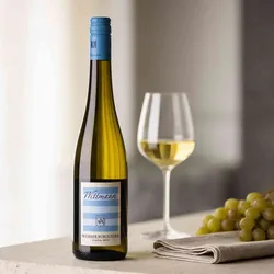 Weingut Wittmann - Westhofen 2023 Wittmann Weisser Burgunder trocken 2023 Weissburgunder Deutschland