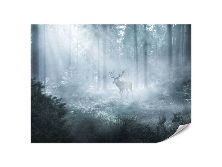 FOTOTAPETE für Wohnzimmer Hirsch Nebelwald Bäume Pflanzen 200x140
