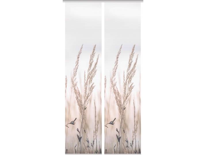Schiebegardine VISION S RELVA , beige (natur), B:60cm H:260cm, Polyester, Gardinen, Schiebegardine, DIGITALDRUCK