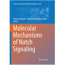 Molecular Mechanisms of Notch Signaling, Fachbücher von Benedetto Daniele Giaimo, Tilman Borggrefe